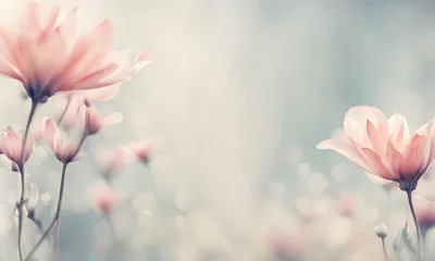 Foto op Canvas Spring flowers create a smooth background © karandaev