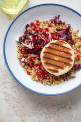Plate of quinoa salad with grilled halloumi cheese, chopped radicchio and pomegranate seeds, high angle view, vertical shot, middle close-up