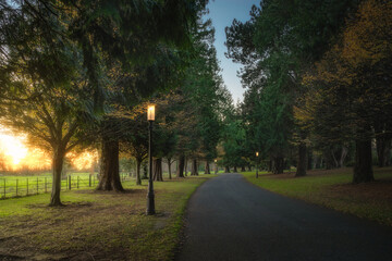 Vintage street lamps lit at evening in Farmleigh Phoenix Park. Footpath surrounded by majestic trees illuminated by sunlight at sunset, Dublin, Ireland