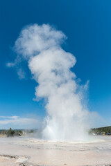 Eruption of the Great Fountain Geyser in Yellowstone National park.