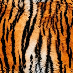 Seamless Bengal Tiger fur pattern, repeating tiger fur skin with tiger stripes tiling pattern stock photo digital download in Exotic animal texture Set © Chattanooga Tshirt