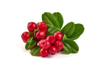 Wild cowberry, foxberry, lingonberry with leaves, isolated on white background. High resolution image.