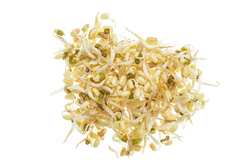 Healthy Bean Sprouts isolated on  white backgrond with copy space