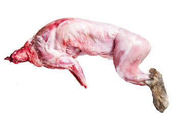 Raw Whole wild hare, fresh game meat on wooden board with herb.  Transparent background. Isolated.