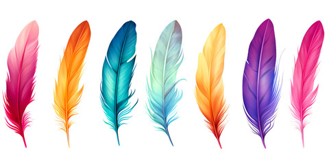 Set of colorful feathers isolated on white background