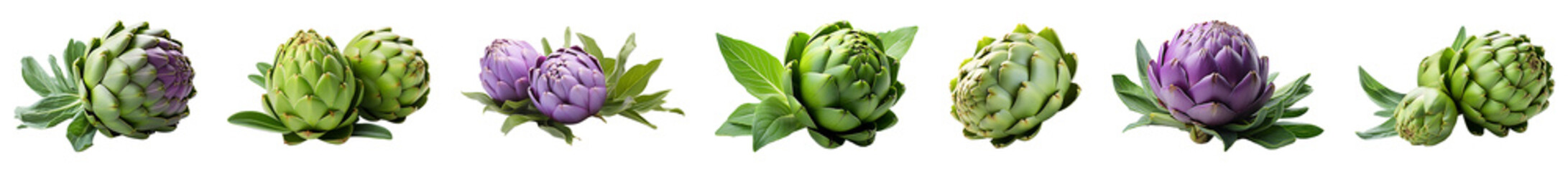 Collection of artichoke on a transparent png