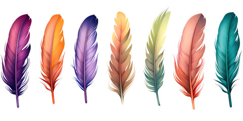 Set of colorful feathers isolated on white background