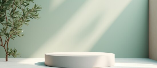 Pastel Color elegant delicate background for presentations in form of empty round pedestal, podium against of light wall framed by branches with green foliage and shadow and light from window