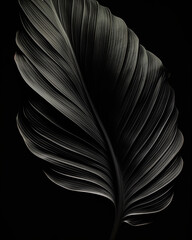 AI-Generated Monochrome Tranquility: Capturing Nature's Elegance in Black and White Leaf Photography