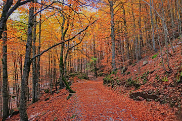 Senderos de Ordesa en Otoño