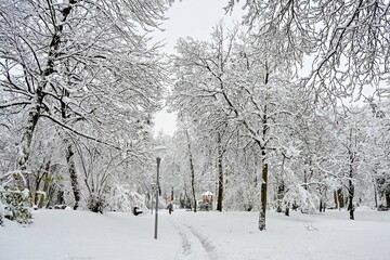 AUT, Linz, Schnee, Neuschnee, Stadt, Schneechaos, Schneefall, Landschaft, 