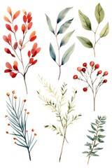 Naklejka premium A collection of delicate watercolor leaves and branches. Perfect for adding a touch of nature and elegance to your designs and projects