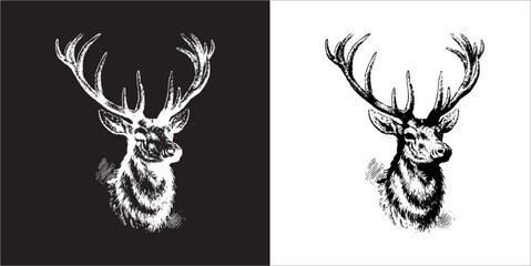 Illustration vector graphics of head deer icon - obrazy, fototapety, plakaty