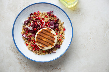 Grilled halloumi with quinoa, fresh radicchio and pomegranate in a blue and white plate, above view...