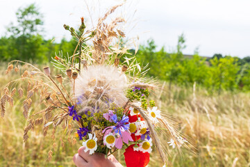 A bouquet of wild flowers against the background of a meadow, held in a woman's hand