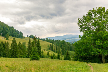 A hiking trail from the Homole Gorge to the highest peak of Pieniny Wysoka