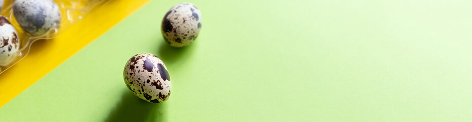 Creative layout with Fresh organic quail egg on bright yellow background. Quail eggs pattern. Happy...