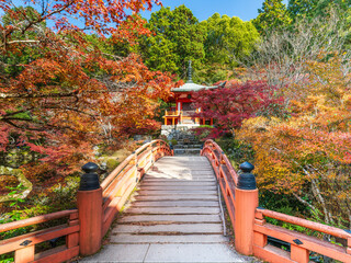 A Temple with Maple Leaves in Kyoto