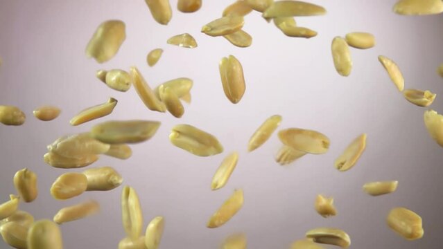 Peeled tasty peanuts are bouncing on a white background