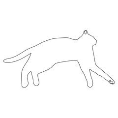 누워있는 고양이 라인