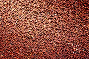 asian red peppercorns drying in the sun