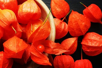 Many orange physalis open or closed in a wooden bowl on slate for food background plant of a genus including the cape gooseberry and Chinese lantern, having an inflated calyx that resembles a lantern - obrazy, fototapety, plakaty