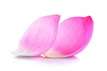 lotus petal on white background