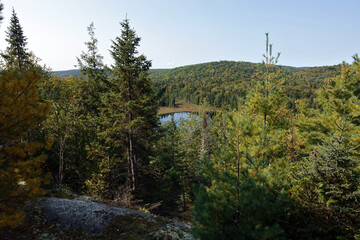 Randonnée dans le parc national de la Mauricie au Canada à la découverte de sa flore
