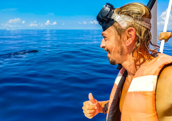 Man person takes selfie with huge whale shark Cancun Mexico.