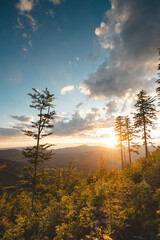 Wild untouched jungle illuminated by sunset in Beskydy mountains, Czech Republic. Hiking and exploring lifestyle