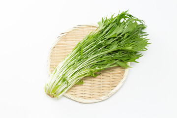 白背景に水菜