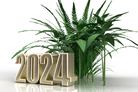 Happy 2024, Happy New Year, Transparent Background