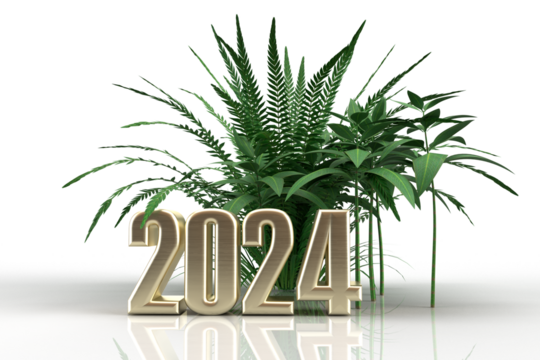 Happy 2024, Happy New Year, Transparent Background