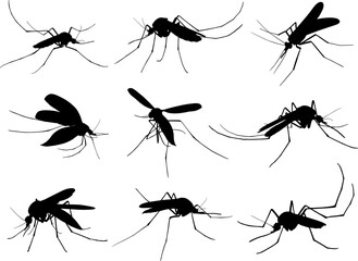 animal mosquito silhouettes