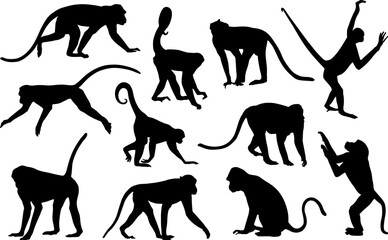 monkey silhouettes set