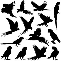 parrot silhouettes