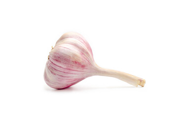 One head of raw garlic on a white background. Garlic close up isolated. Health concept.