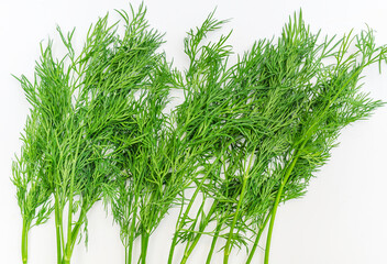 Sprigs of green fragrant fresh dill on white background isolated. Greens for health. Aromatherapy.