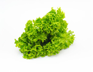 Bunch of fresh green salad. White background, isolated. Healthy plant-based nutrition.