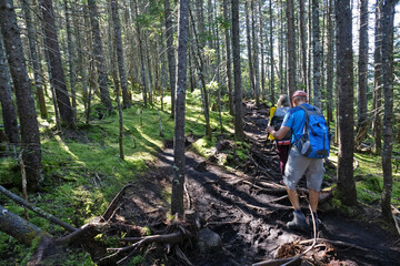 Randonn&eacute;e dans le Parc National de la Jacques-Cartier au Canada