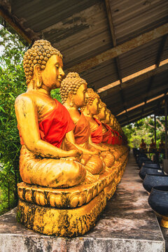 Row of golden Buddha statues, Phuket, Thailand