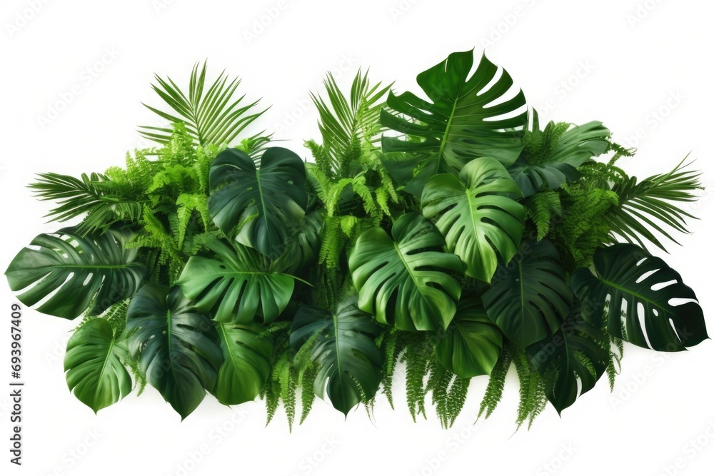 Poster a collection of vibrant green plants against a clean white background. perfect for adding a touch of