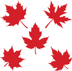 Set of Maple Leaf Silhouettes Vector Icon Illustration.