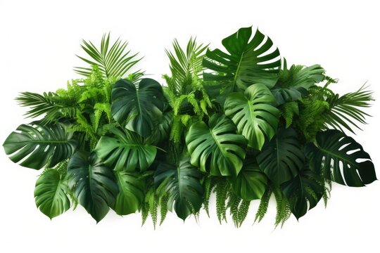 A collection of vibrant green plants against a clean white background. Perfect for adding a touch of nature to any project