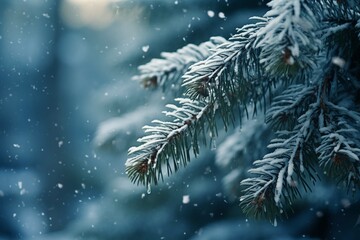 Snow fall in winter forest. Christmas new year magic. Blue spruce fir tree branches detail. Banner image