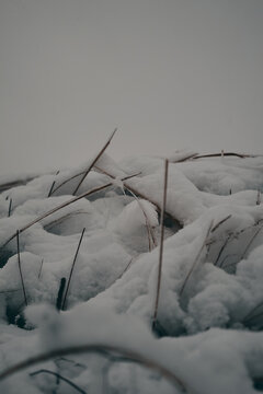 snow on the field
