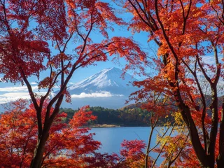Velvet curtains Fuji Mountain fuji with red maple in Autumn, Kawaguchiko Lake, Japan