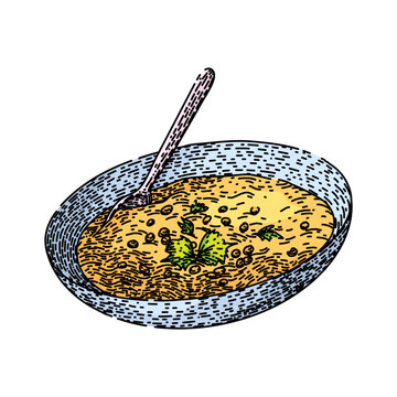 Legume Lentils Hand Drawn. Dry Vegan, Red Green, Raw Table Legume Lentils Vector Sketch. Isolated Color Illustration