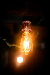 Edison lamp, concept of idea. Retro, vintage electricity lamp