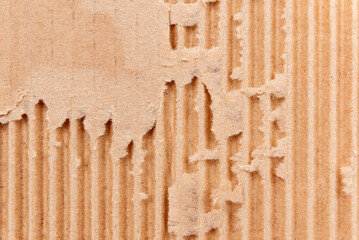 Texture of torn cardboard. Corrugated cardboard background